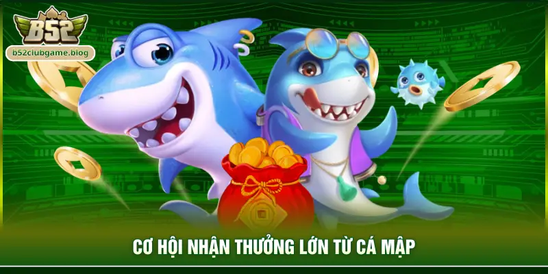 Cơ hội nhận thưởng lớn từ cá mập