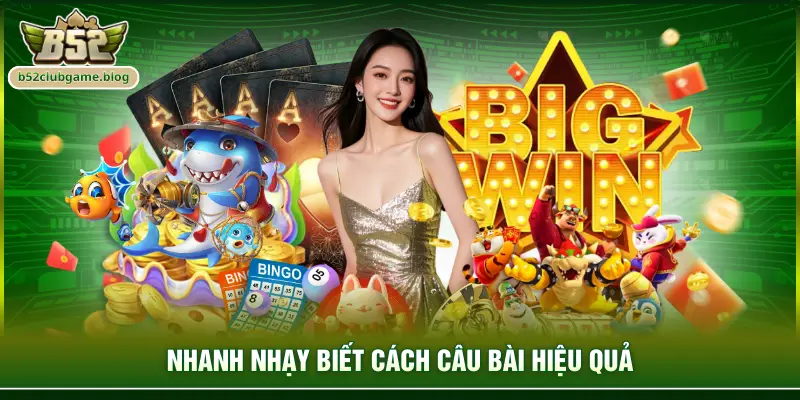 Nhanh nhạy biết cách câu bài hiệu quả